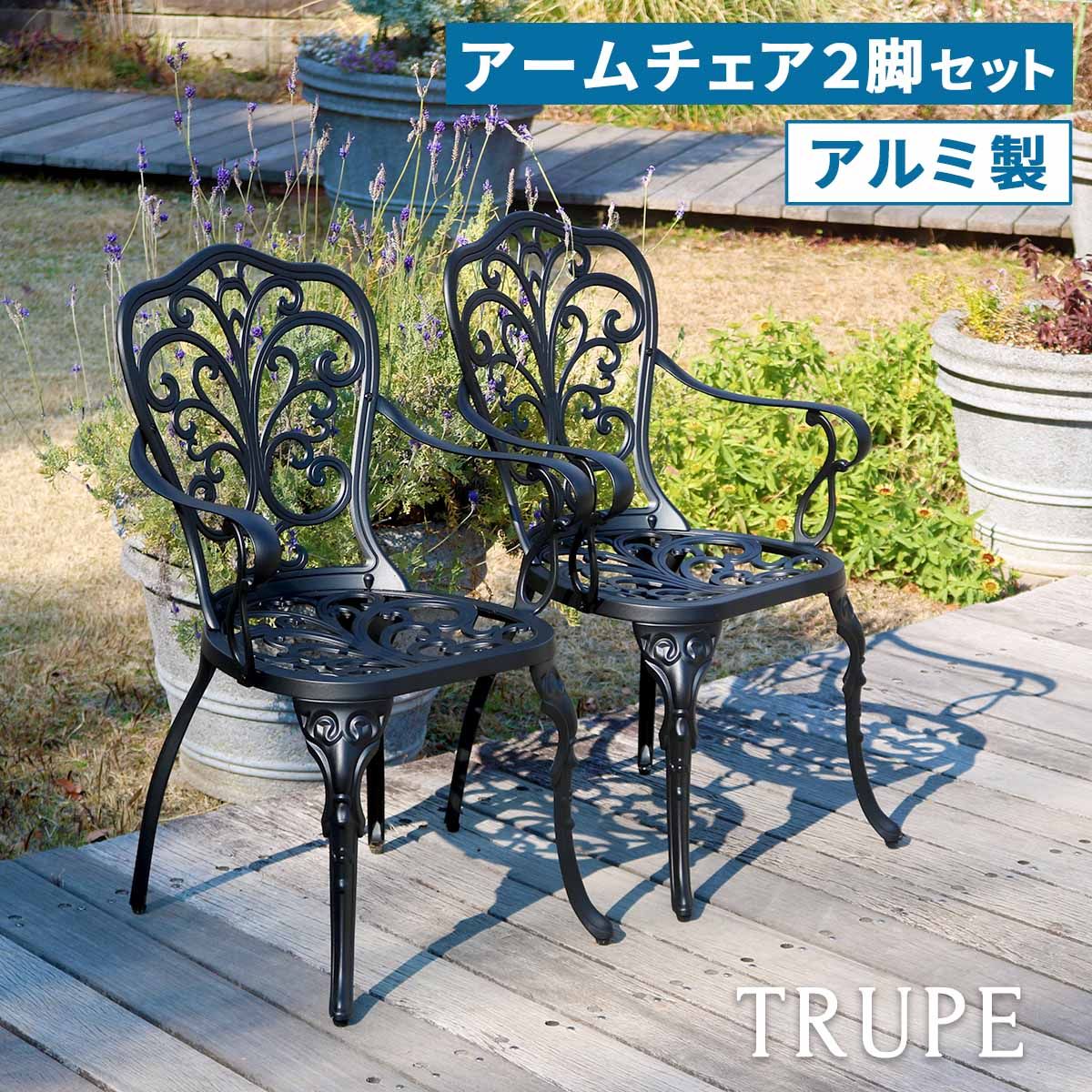 特価◎【直送】住まいスタイル/アルミ製アームチェア 2脚セット 「トルペ」 マットブラック/BKS-C5289-2P-BLK
