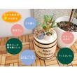 特価◎【直送】住まいスタイル/コーヒーバレル 23 ナチュラル/CB-2330N