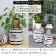 特価◎【直送】住まいスタイル/コーヒーバレル 大 ホワイト/CB-3040N-WHT