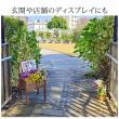 特価◎【直送】住まいスタイル/天然木製チェア型プランタースタンド 幅40cm ダークグリーン/CP40DGN