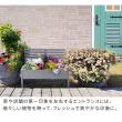特価◎【直送】住まいスタイル/天然木製チェア型プランタースタンド 幅80cm ブルー/CP80BLU