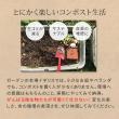 特価◎【直送】住まいスタイル/木製窓付コンポスト 90L 「OWN」(オウン) ダークグリーン/CPT45DGR
