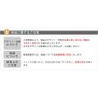 特価◎【直送】住まいスタイル/アイアンフェンス150 ロータイプ 2枚組 ブラック/DF009L-2P-BLK
