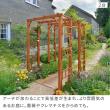 特価◎【直送】住まいスタイル/天然木製アーチ 190 2台(平地用金具セット) 「Flex Pergola」 ライトブラウン
