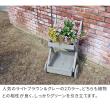 特価◎【直送】住まいスタイル/天然木製ワゴン型プランタースタンド ライトブラウン/FW72LBR