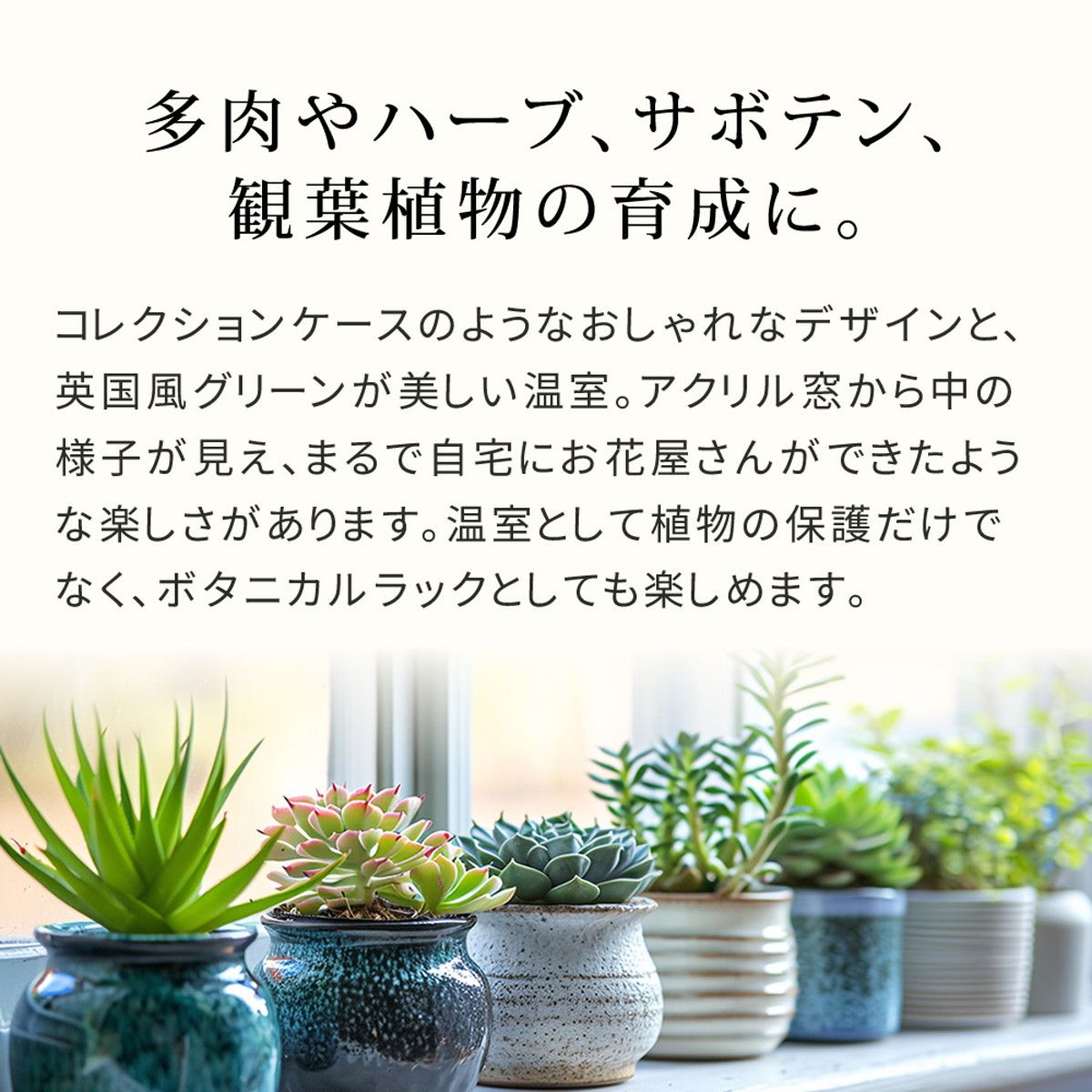 特価◎【直送】住まいスタイル/木製窓付グリーンハウス (温室) 「OWN」(オウン) ダークグリーン/GRH45DGR