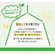 特価◎【直送】住まいスタイル/木製窓付グリーンハウス (温室) 「OWN」(オウン) ダークグリーン/GRH45DGR
