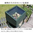 特価◎【直送】住まいスタイル/木製窓付グリーンハウス (温室) 「OWN」(オウン) ダークグリーン/GRH45DGR
