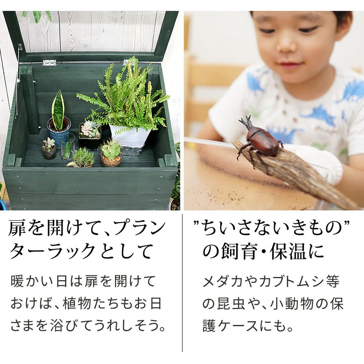 特価◎【直送】住まいスタイル/木製窓付グリーンハウス (温室) 「OWN」(オウン) ダークグリーン/GRH45DGR