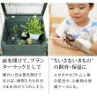 特価◎【直送】住まいスタイル/木製窓付グリーンハウス (温室) 「OWN」(オウン) ダークグリーン/GRH45DGR