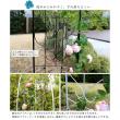 特価◎【直送】住まいスタイル/アイアンアーチ「Blossom Heart」〜ブロッサムハート〜 ホワイト/IA-BH005WHT