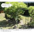 特価◎【直送】住まいスタイル/ワイドアイアンアーチ ダークグリーン/IA-ED001GRN
