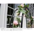 特価◎【直送】住まいスタイル/アーチ付フラワーラック ブラック/IA-FR002BLK