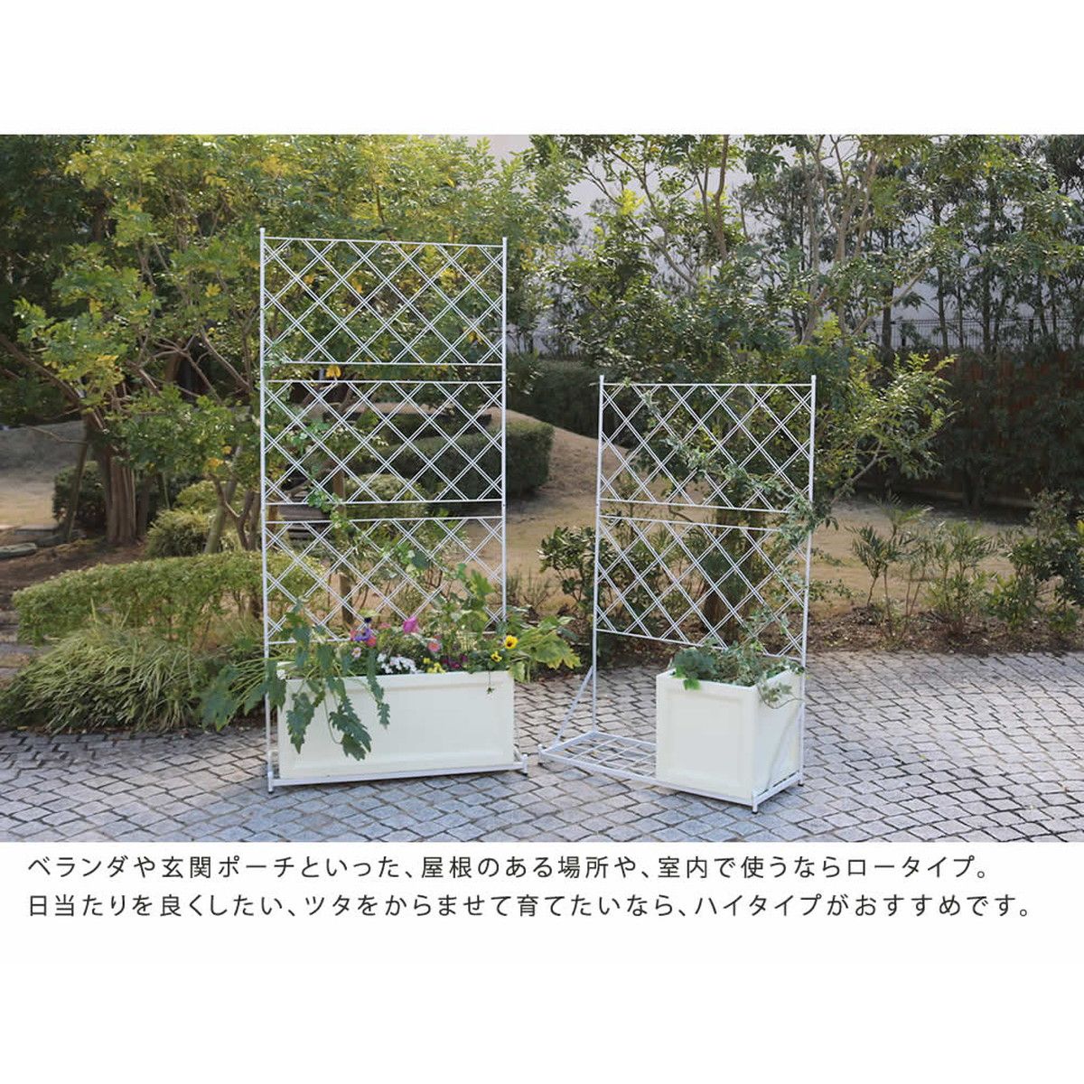 特価◎【直送】住まいスタイル/プランター台付フェンス ハイタイプ アーガイル ホワイト/IF-FP007WHT