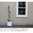 特価◎【直送】住まいスタイル/プランター台付フェンス(スリムタイプ)「アーガイル」 ホワイト/IF-FP017WHT