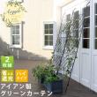 特価◎【直送】住まいスタイル/アイアン製グリーンカーテン アーガイル 2枚組 ブラック/IFGC011-2P-BLK