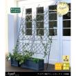 特価◎【直送】住まいスタイル/アイアン製グリーンカーテン アーガイル 2枚組 ブラック/IFGC011-2P-BLK