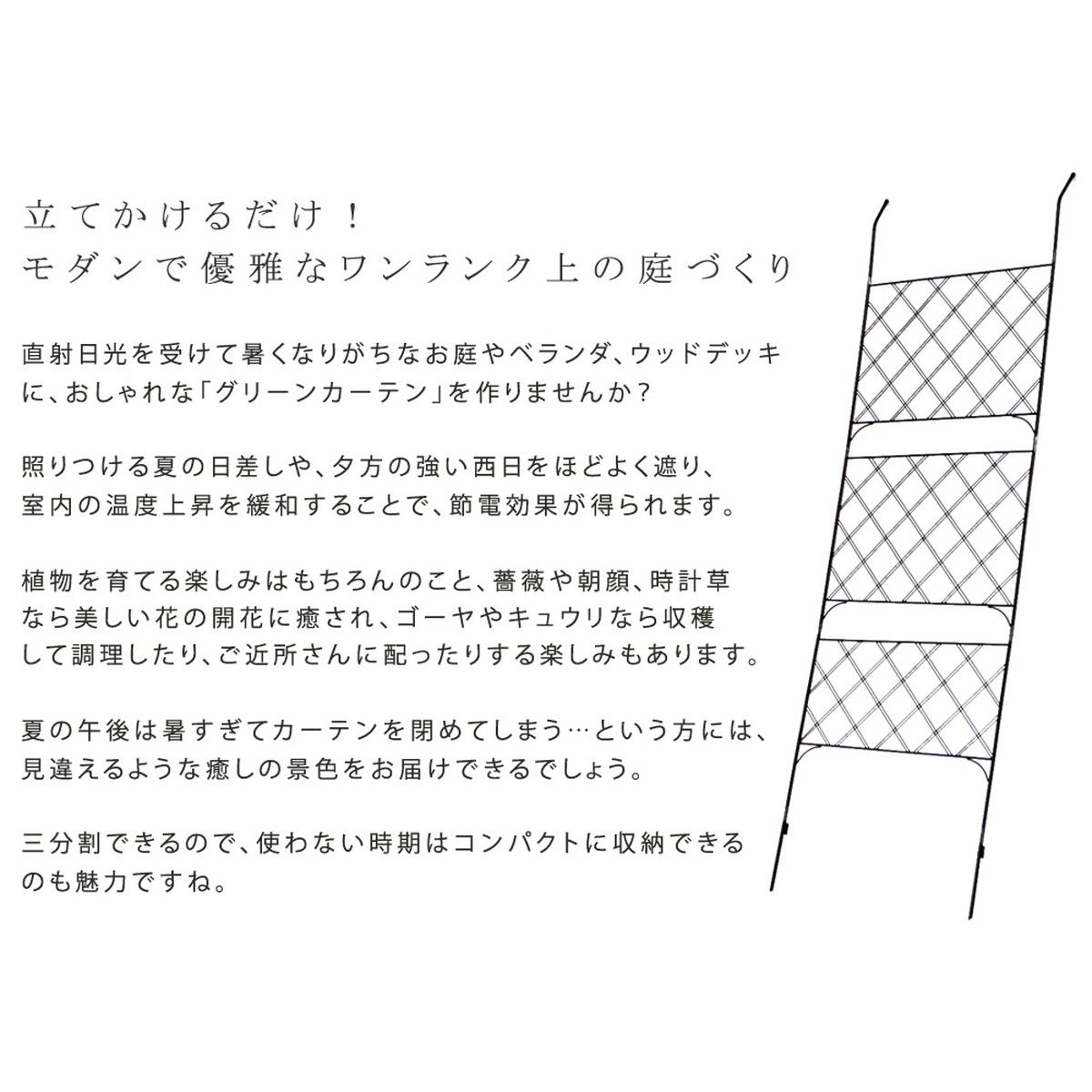 特価◎【直送】住まいスタイル/アイアン製グリーンカーテン アーガイル 2枚組 ブラック/IFGC011-2P-BLK