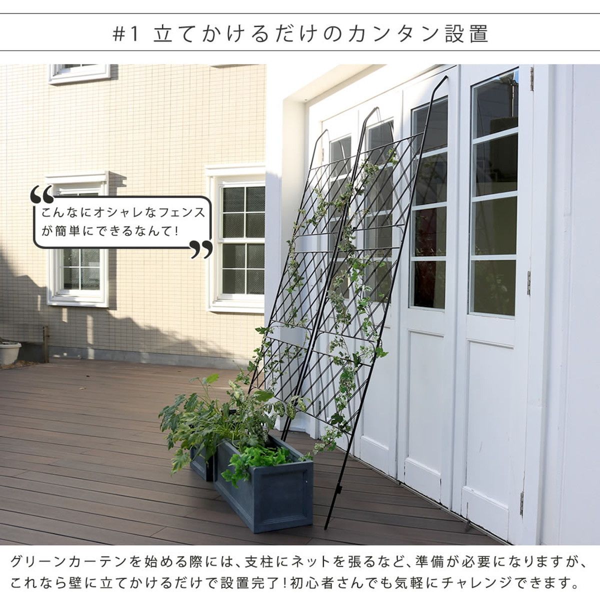 特価◎【直送】住まいスタイル/アイアン製グリーンカーテン アーガイル 2枚組 ブラック/IFGC011-2P-BLK