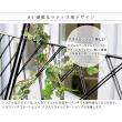 特価◎【直送】住まいスタイル/アイアン製グリーンカーテン アーガイル 2枚組 ブラック/IFGC011-2P-BLK
