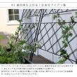 特価◎【直送】住まいスタイル/アイアン製グリーンカーテン アーガイル ブラック/IF-GC011BLK