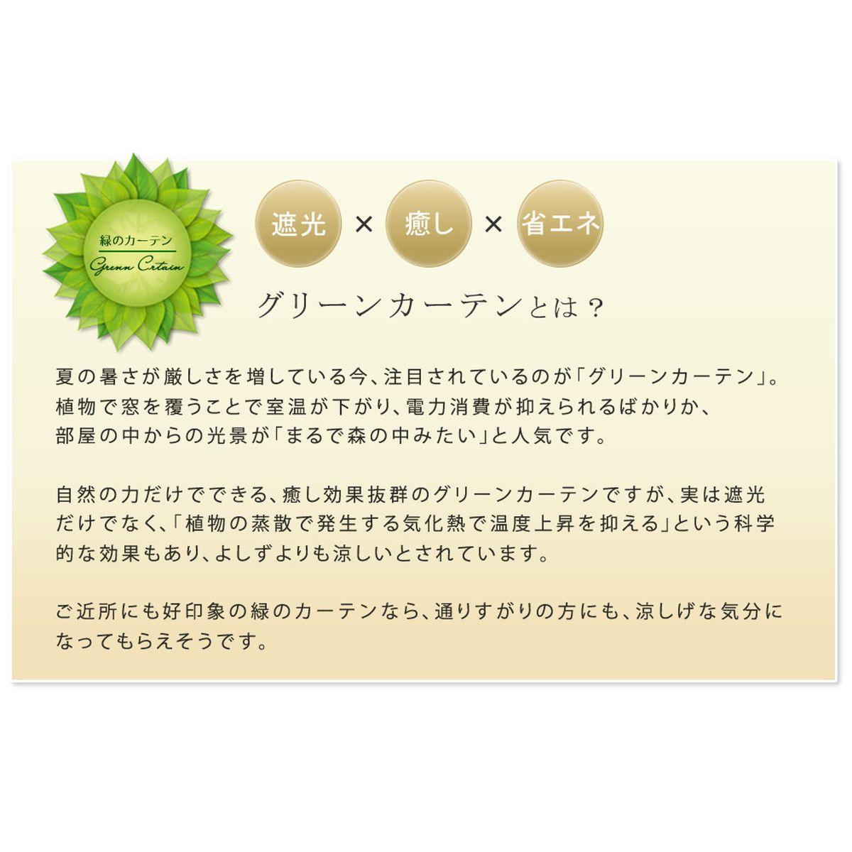 特価◎【直送】住まいスタイル/アイアン製グリーンカーテン グラフ ハンマートーンシルバー/IF-GC014SLV