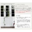 特価◎【直送】住まいスタイル/アイアン製グリーンカーテン グラフ ハンマートーンシルバー/IF-GC014SLV
