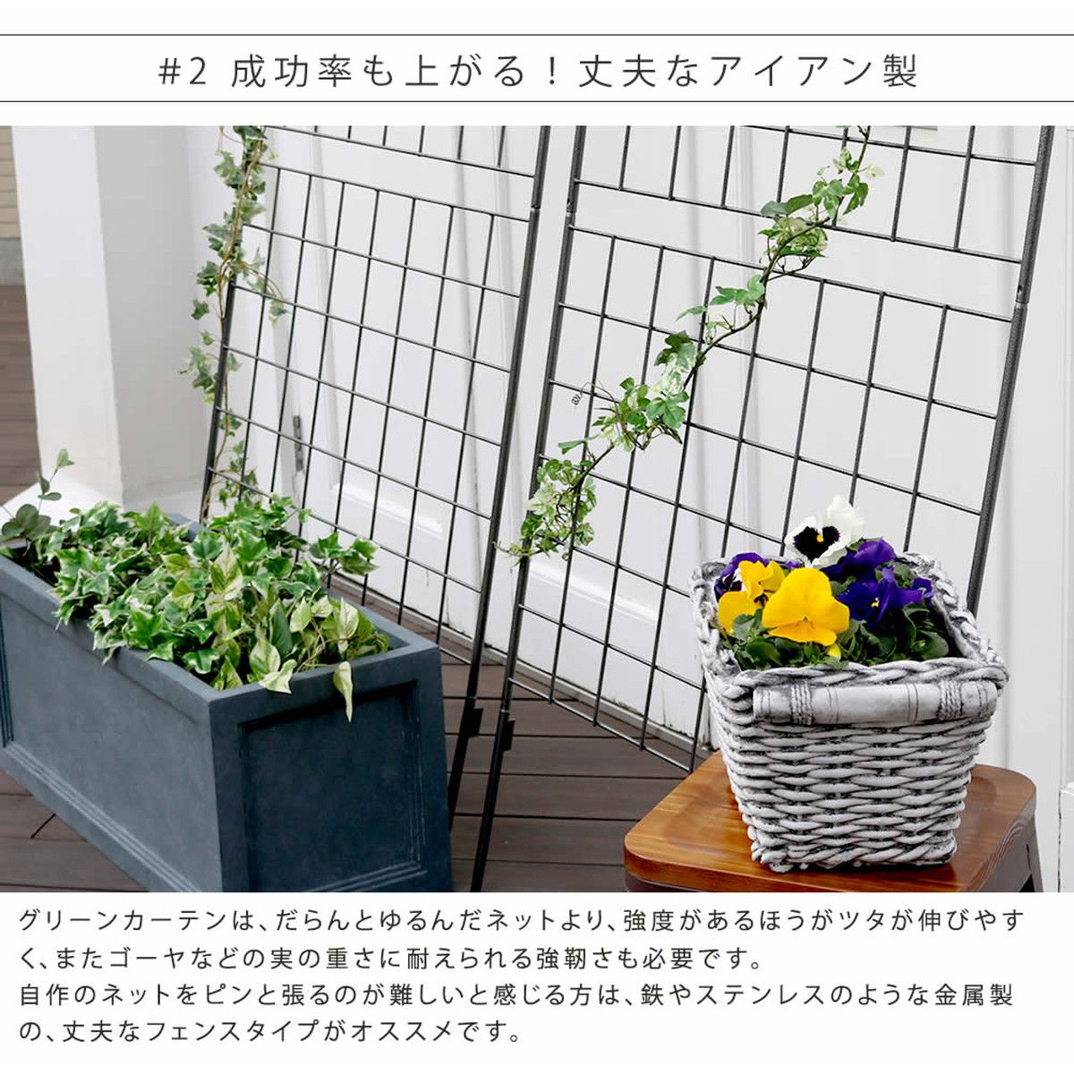特価◎【直送】住まいスタイル/アイアン製グリーンカーテン グラフ ハンマートーンシルバー/IF-GC014SLV