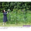 特価◎【直送】住まいスタイル/アイアンフェンス 高さ226 「グラフ」 1枚 ブラック/IF-GR024-1P-BLK