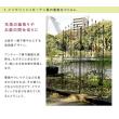 特価◎【直送】住まいスタイル/アイアンローズフェンス220「4枚組」 ダークブラウン/IFROSE-220-4P