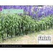 特価◎【直送】住まいスタイル/アイアンミニフェンス(リーフ) ブラック/IPN-7238TG