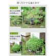 特価◎【直送】住まいスタイル/折り畳めるアイアンフェンス(猫3連) ブラック/NK120BLK