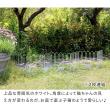 特価◎【直送】住まいスタイル/折り畳めるアイアンフェンス(猫3連) ブラック/NK120BLK