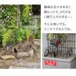 特価◎【直送】住まいスタイル/アイアンフェンス ミニ(猫) 20枚組 ブラック/NK7238-20P-BLK