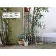 特価◎【直送】住まいスタイル/ブランティーク ホワイトアイアントレリスH147 2枚組 ホワイト/SPL-8923WHT