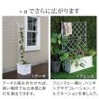 特価◎【直送】住まいスタイル/マグネシアプランター TEXTURE(テクスチャー) 長角60cm ブラック/TEX-600BLK
