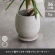 特価◎【直送】住まいスタイル/セメント製キャスター付きプランターキャリー36cm アンティークホワイト/TR360WHT