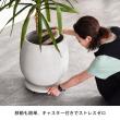 特価◎【直送】住まいスタイル/セメント製キャスター付きプランターキャリー36cm アンティークホワイト/TR360WHT