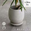 特価◎【直送】住まいスタイル/セメント製キャスター付きプランターキャリー36cm 2台組 グレー/TR360-2P-GRY