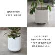 特価◎【直送】住まいスタイル/セメント製キャスター付きプランターキャリー36cm 2台組 グレー/TR360-2P-GRY