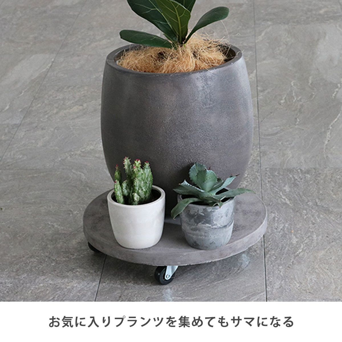 特価◎【直送】住まいスタイル/セメント製キャスター付きプランターキャリー36cm 2台組 アンティークホワイト