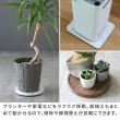 特価◎【直送】住まいスタイル/天然素材調のマルチトレー(キャスター付) 角型40cm 2個組 ウォルナット