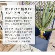 特価◎【直送】住まいスタイル/プランターBOX付きフェンス「TWILL」(ツイル) アイボリーホワイト/TW001WHT