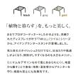 【直送】住まいスタイル/アイアンプランタースタンド「TWILL」(ツイル) ローサイズ ブラック/TW008BLK