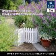 特価◎【直送】住まいスタイル/折り畳めるウッドミニフェンス120(縦ストライプ) 2枚組 ライトブラウン