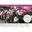 特価◎【直送】住まいスタイル/クラシックフェンス150 ロータイプ 2枚組 ブラック/YB015L-2P-BLK