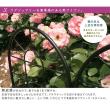 特価◎【直送】住まいスタイル/クラシックフェンス150 ロータイプ 2枚組 ブラック/YB015L-2P-BLK