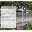特価◎【直送】住まいスタイル/クラシックフェンス220 ハイタイプ 2枚組 ホワイト/YB016H-2P-WHT