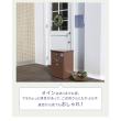 特価◎【直送】住まいスタイル/新聞受け付き壁掛けポスト Miche(ミケ) ラベンダーブルー/PST-004BLU