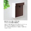 特価◎【直送】住まいスタイル/ウォールナット調壁掛けポスト Enri(エンリ)  ホワイト/PST-005WHT